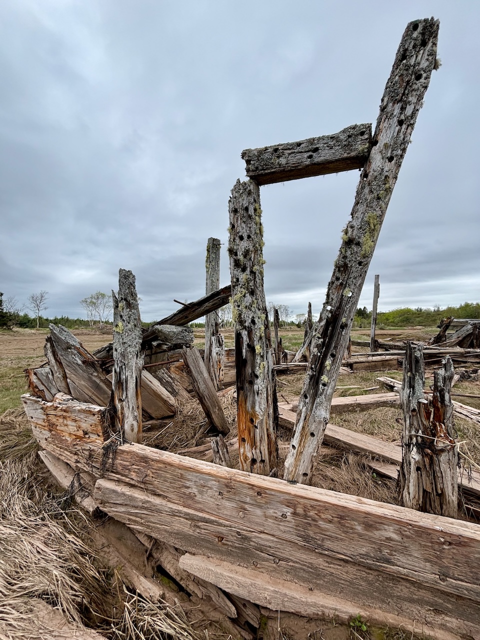 Abandoned Ships of the Musquash Estuary